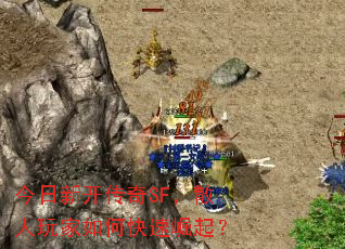 �����¿�����SF��ɢ�������ο�������