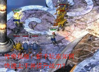 ����˽�������������ο������ֲ�����ս����