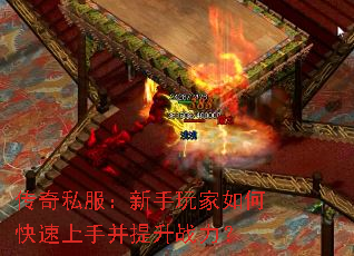 ����˽�������������ο������ֲ�����ս����