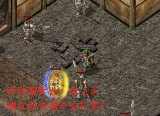 SF�����¿���սʿǰ����ο��������򱦣�