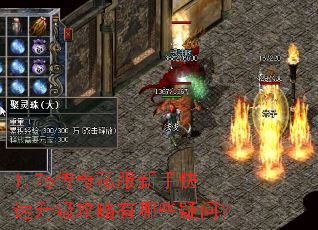 1.76����˽�����ֿ���������������Щ���ʣ�