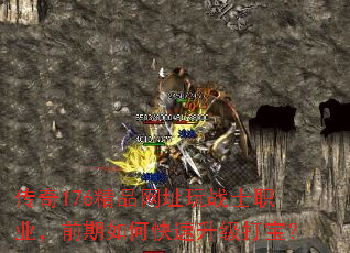 ����176��Ʒ��ַ��սʿְҵ��ǰ����ο��������򱦣�