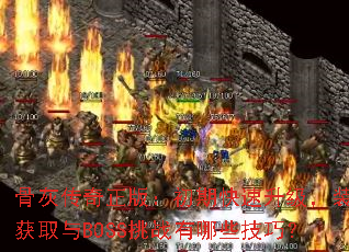 �ǻҴ������棺���ڿ���������װ����ȡ��BOSS��ս����Щ���ɣ�