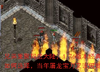 �ֵ��ؾ��귨��½��1.76�汾����ְҵ���ѡ�񣬵������������ָúδ�Ѱ�٣�