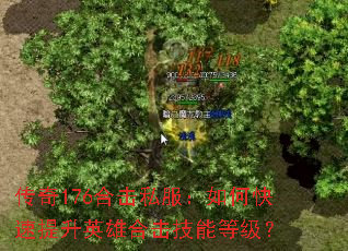 ����176�ϻ�˽������ο�������Ӣ�ۺϻ����ܵȼ���