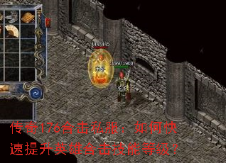 ����176�ϻ�˽������ο�������Ӣ�ۺϻ����ܵȼ���