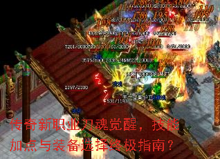 ������ְҵ������ѣ����ܼӵ���װ��ѡ���ռ�ָ�ϣ�