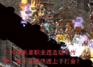 1.95��Ʒ��ְҵ�����汾���棬������ο������ִ��