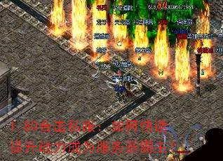 1.80�ϻ�˽������ο�������ս����Ϊ������������