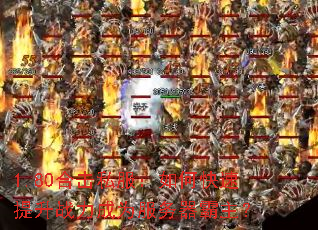 1.80�ϻ�˽������ο�������ս����Ϊ������������