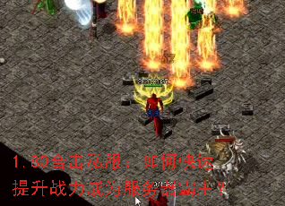 1.80�ϻ�˽������ο�������ս����Ϊ������������