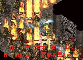 �տ�һ�븴�Ŵ��棬���������ο������ֳưԷ�������