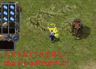 ����˽��176�ϻ���������ս�ϻ���ο���������