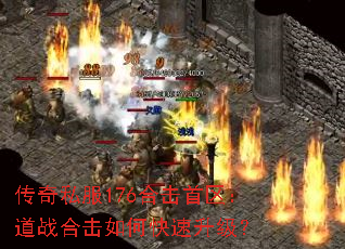 ����˽��176�ϻ���������ս�ϻ���ο���������