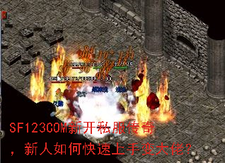 SF123COM�¿�˽�����棬������ο������ֱ���У�