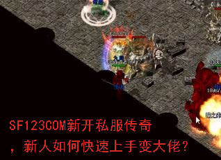 SF123COM�¿�˽�����棬������ο������ֱ���У�