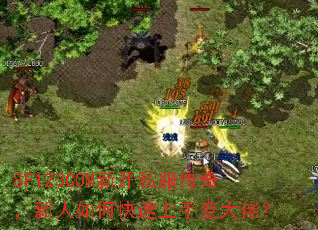 SF123COM�¿�˽�����棬������ο������ֱ���У�