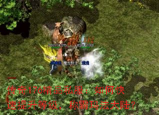 传奇176精品私服:如何快速提升等级,称霸玛法大陆? 传奇176精品私服:如何快速提升等级,称霸玛法大陆?