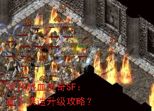 �տ���Ѫ����SF�����ֿ����������ԣ�