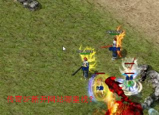 ����SF�¿���վ�����ң�