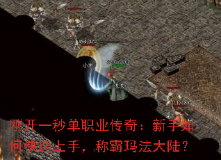 �տ�һ�뵥ְҵ���棺������ο������֣��ư��귨��½��