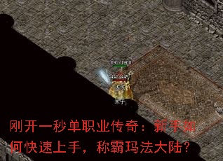 �տ�һ�뵥ְҵ���棺������ο������֣��ư��귨��½��