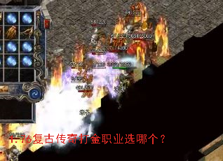 1.76���Ŵ�����ְҵѡ�ĸ���