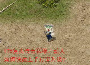 176���Ŵ���˽����������ο������ִ�������