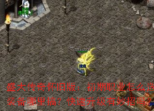 ʢ���滳�ɰ棺����ְҵ��ôѡ��װ������㣿����������������