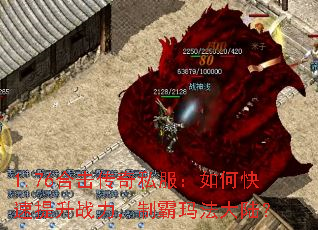 1.76�ϻ�����˽������ο�������ս�����ư��귨��½��