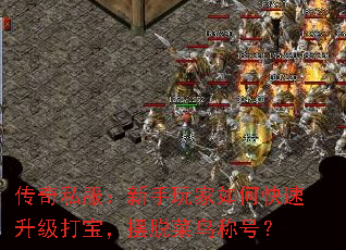 ����˽�������������ο��������򱦣����Ѳ���ƺţ�