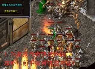 1.76���Ŵ�������������ԣ�������ο��ٳ弶��