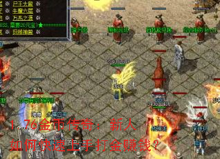 1.76��Ҵ��棺������ο������ִ��׬Ǯ��