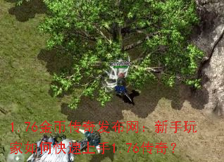 1.76金币传奇发布网:新手玩家如何快速上手1.76传奇? 1.76金币传奇发布网:新手玩家如何快速上手1.76传奇?