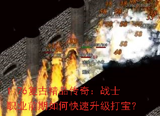 1.76���ž�Ʒ���棺սʿְҵǰ����ο��������򱦣�