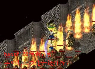 haosf123传奇:新手村怎么快速升级打怪? haosf123传奇:新手村怎么快速升级打怪?