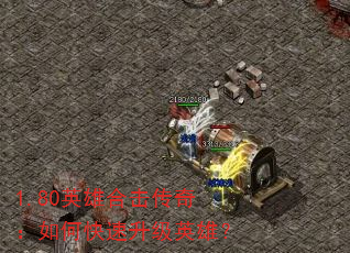 1.80Ӣ�ۺϻ����棺��ο�������Ӣ�ۣ�