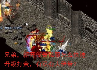 兄弟,新开传奇私服怎么快速升级打金,有没有大佬带? 兄弟,新开传奇私服怎么快速升级打金,有没有大佬带?