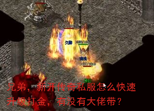 兄弟,新开传奇私服怎么快速升级打金,有没有大佬带? 兄弟,新开传奇私服怎么快速升级打金,有没有大佬带?