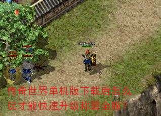 传奇世界单机版下载后怎么玩才能快速升级称霸全服? 传奇世界单机版下载后怎么玩才能快速升级称霸全服?