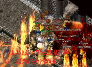 ����˽����ο��������ȼ�����Ϊ������������