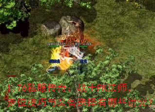 1.76˽�����棺սʿPK��ʦ����λ������װ��ѡ������Щ������