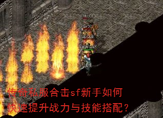 ����˽���ϻ�sf������ο�������ս���뼼�ܴ��䣿