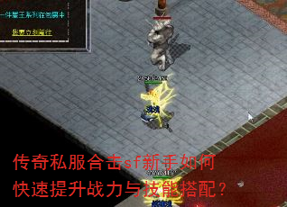 ����˽���ϻ�sf������ο�������ս���뼼�ܴ��䣿