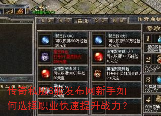 传奇私服S服发布网新手如何选择职业快速提升战力? 传奇私服S服发布网新手如何选择职业快速提升战力?