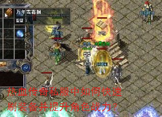 ��Ѫ����˽������ο���ˢװ����������ɫս����