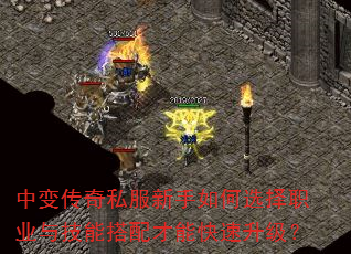 �б䴫��˽���������ѡ��ְҵ�뼼�ܴ�����ܿ���������