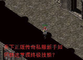 �������洫��˽��������ο��������ռ����ܣ�