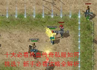 ʮ��ؿ���Ѫ����˽�������ѡ�����ֱؿ�����ȫ����