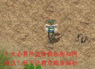 ʮ��ؿ���Ѫ����˽�������ѡ�����ֱؿ�����ȫ����